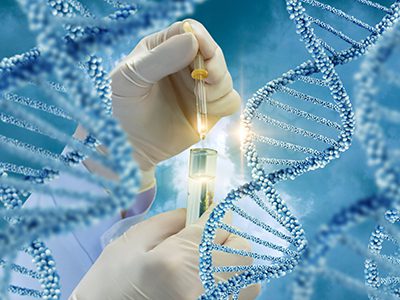 Testing of DNA molecules .